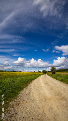 ein Feldweg in ein Rapsfeld vor blauem Himmel mit Wolken