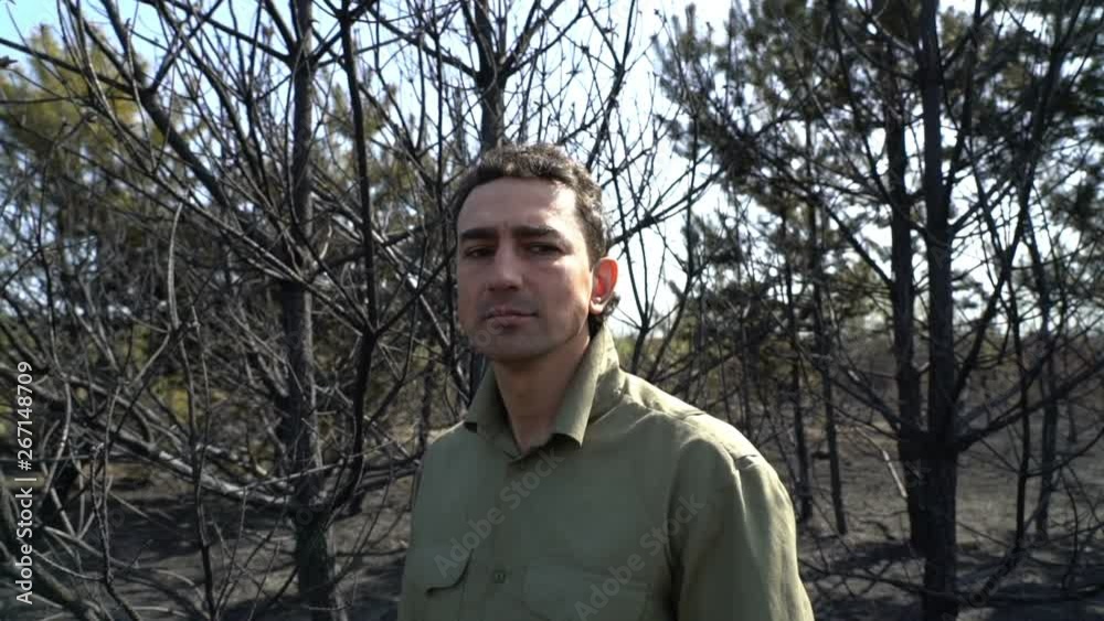 despaired man standing in burned trees after big wild fire, sorrow, ecology catastrophe, trouble people, disaster concept despaired man standing in burned trees after big wild fire, sorrow, ecology catastrophe, trouble people, disaster concept