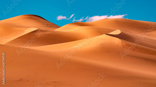 Picturesque desert landscape with dunes
