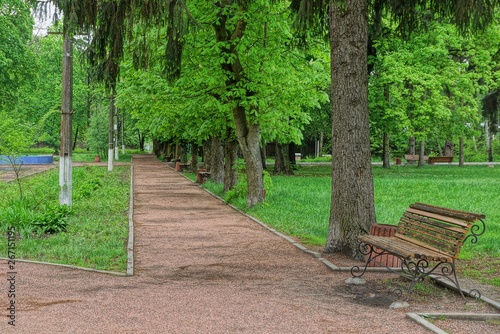 a brown wooden bench and a urn are standing on an alley in the park among green grass