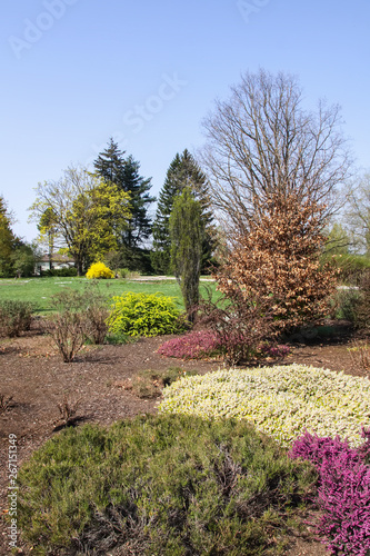 Spring landscape in botanical garden in beginning of May
