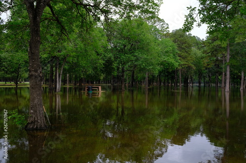 Bear Creek Pioneers Park