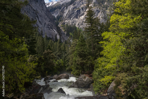 The Merced River  Yosemite National Park  California  USA