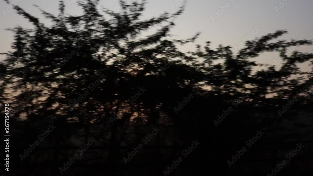 Sunrise Shoot From Running Car In India - Handheld Video Sunrise Shoot From Running Car In India - Handheld Video