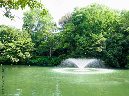 fountain in park