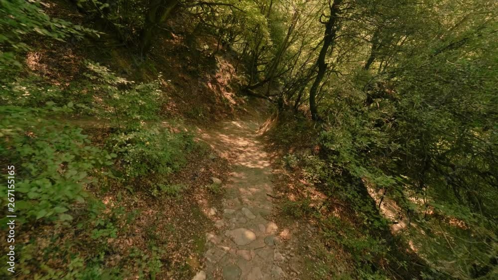 POV shot someone slowly walking on path in hilly terrain at summer forest thicket POV shot someone slowly walking on path in hilly terrain at summer forest thicket