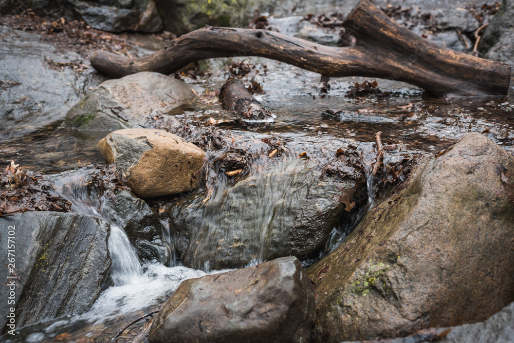 Mini natural waterfall on the rocks in the woods of Central Park in New York - New York City, NY
