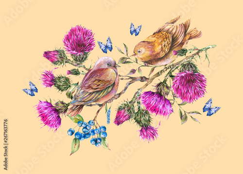 Fototapeta Naklejka Na Ścianę i Meble -  Watercolor pair of birds on a branch with thistle, berries, blue butterflies, wild flowers illustration, meadow herbs