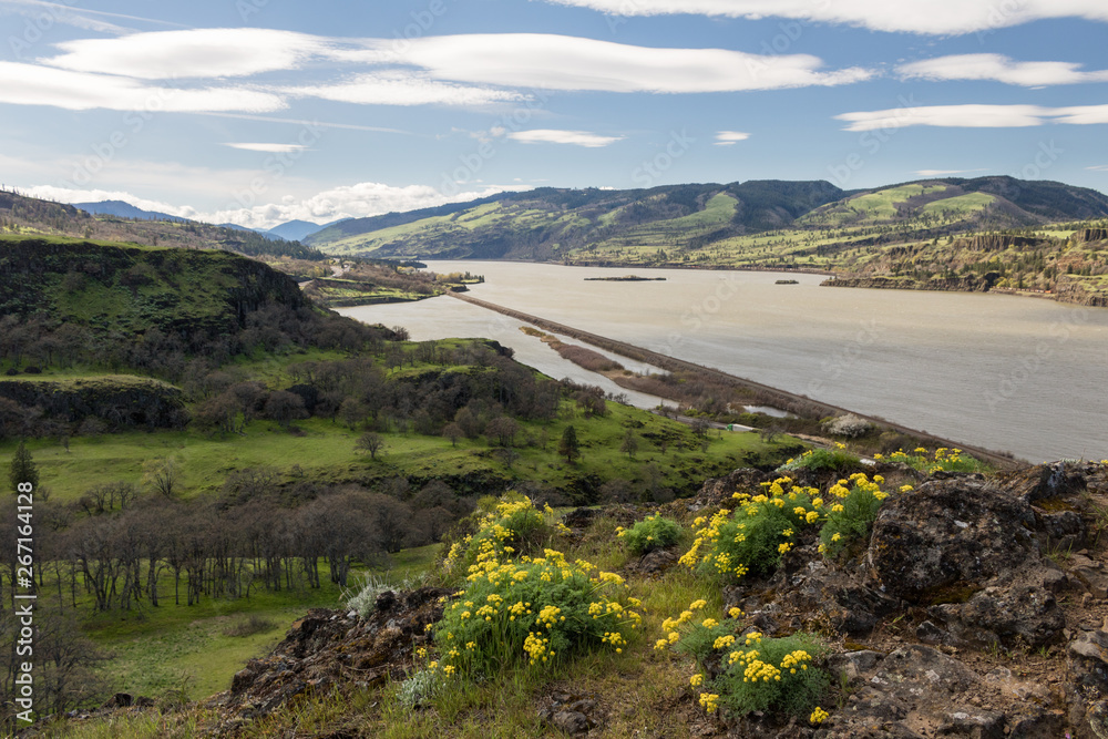 Columbia River seen from Tom McCall Preserve in Oregon