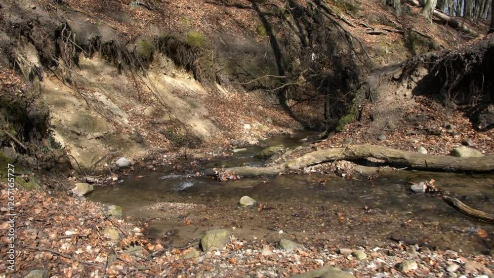 Water Flowing in Creek in Gully Tracking Shot Slow Motion Water Flowing in Creek in Gully Tracking Shot Slow Motion