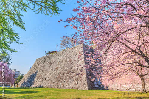 春の盛岡城の風景