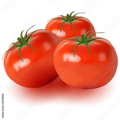 Realistic vector of tomatoes isolated on white background