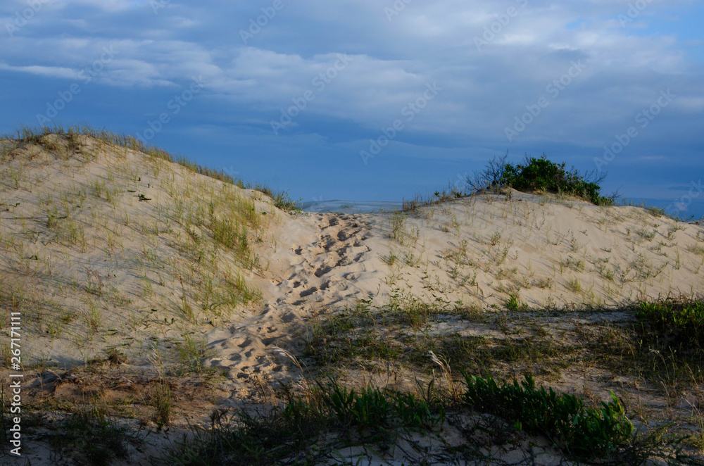 Dunes on the beach