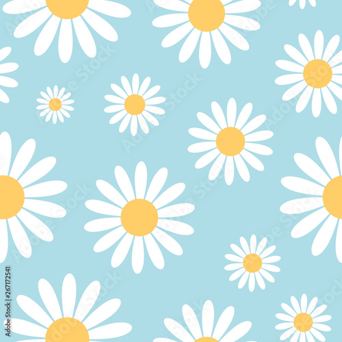 Seamless pattern with chamomile flowers on blue background.