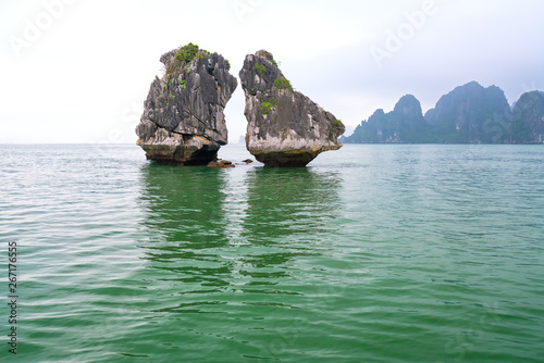 The limestone island shape Kissing or Chicken fight at Halong bay. This is also considered a tourist symbol of Halong Bay, Vietnam and the UNESCO natural World Heritage Site
