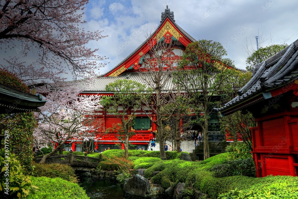 Fototapeta premium Tokyo, Japan