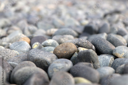 (selected focus) Pattern of round pebble stone.