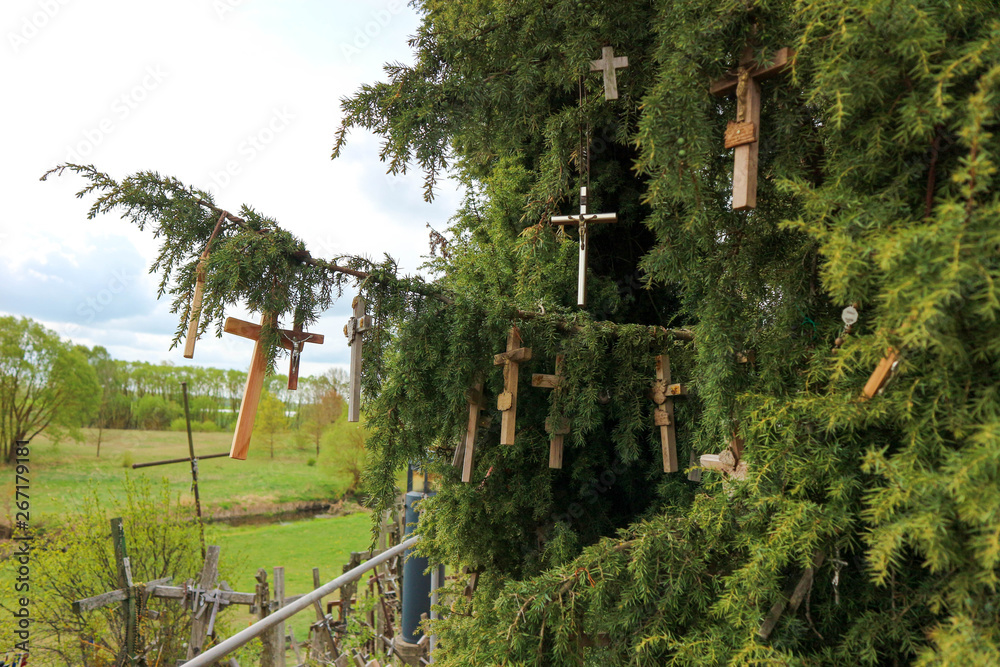 Wooden crosses on the green spruce branch closeup