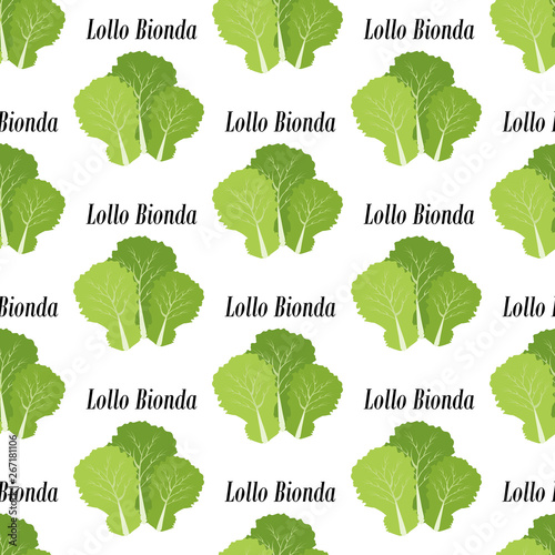 Lollo bionda lettuce seamless pattern