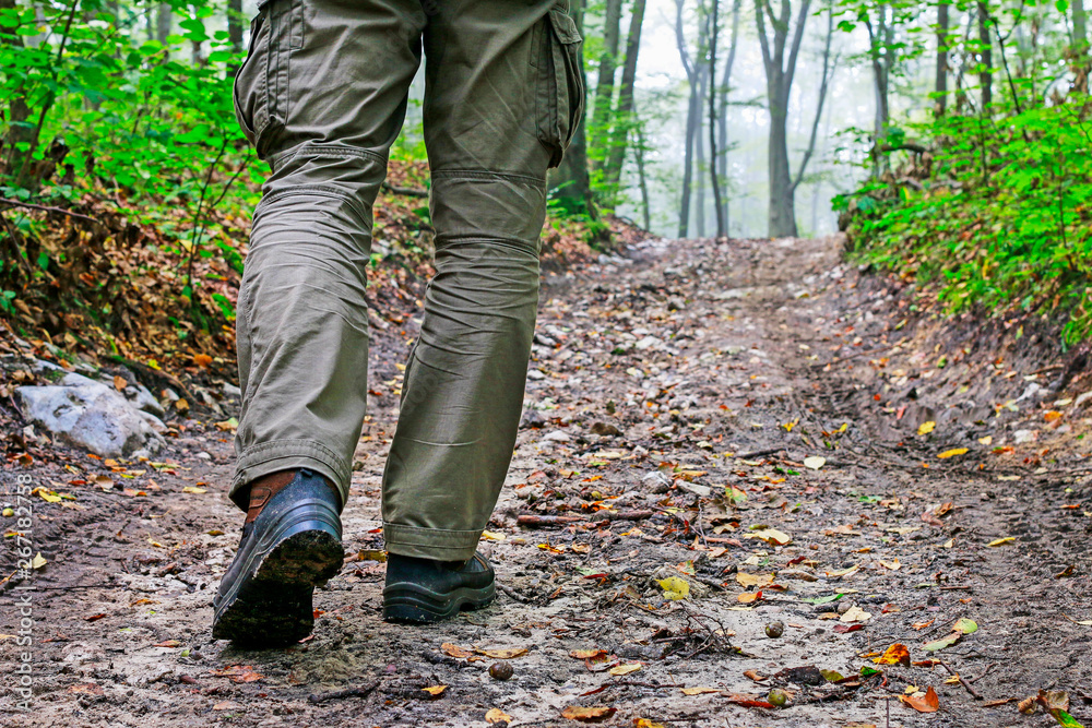 The traveler walks the road through a dark forest. The traveler walks the road through a dark forest.