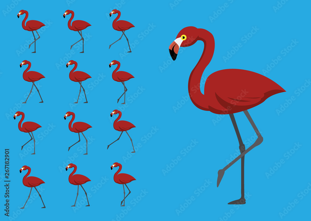 Fototapeta premium Red Flamingo Walking Motion Animation Sequence Cartoon Vector Illustration