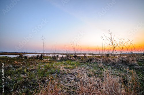 Biebrza Valley  Poland .  Backwaters near Goniadz town with birds in background at dusk