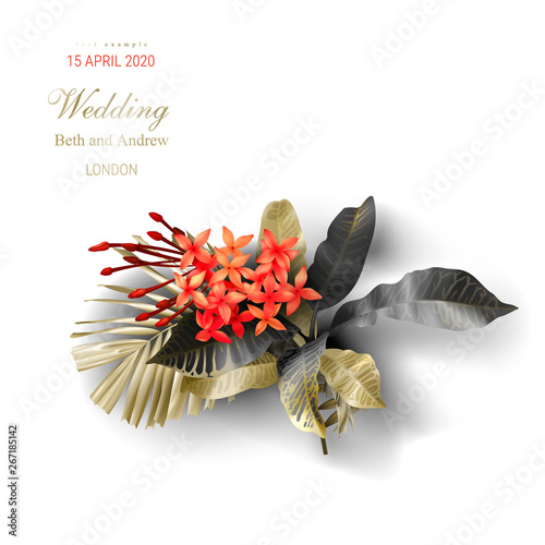 Tropical black and gold leaves on white background vector ads poster Beautiful botanical design with golden tropic jungle palm leaves, exotic red flowers Wedding ceremony invitation card, holiday sale