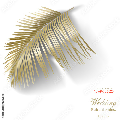 Tropical golden palm leaves on white background vector Beautiful botanical design with tropic jungle rainforest date palm leaf, exotic plant design with copyspace for sale flyer, cosmetic banner