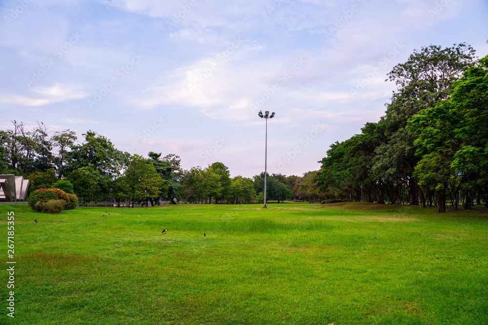 Green city public park with meadow and tree sky cloud Green city public park with meadow and tree sky cloud