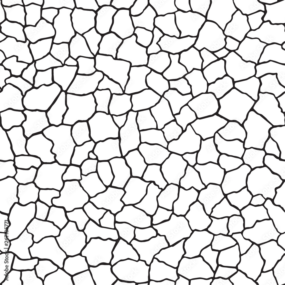 Black And White Stone Texture