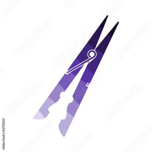 Cloth Peg Icon