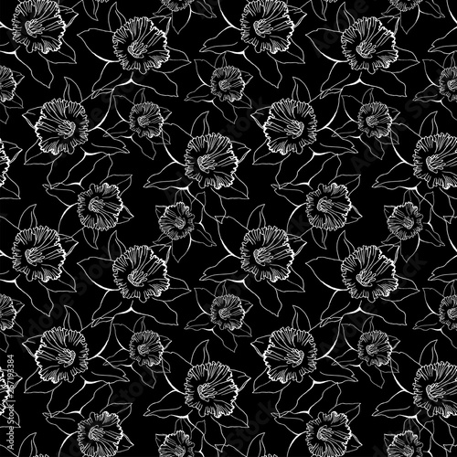 Black and white botanical seamless pattern with contour of flowers Narcissus, Daffodils. Realistic outline sketch on black background. Design for textile, fabric, wallpaper, packaging.