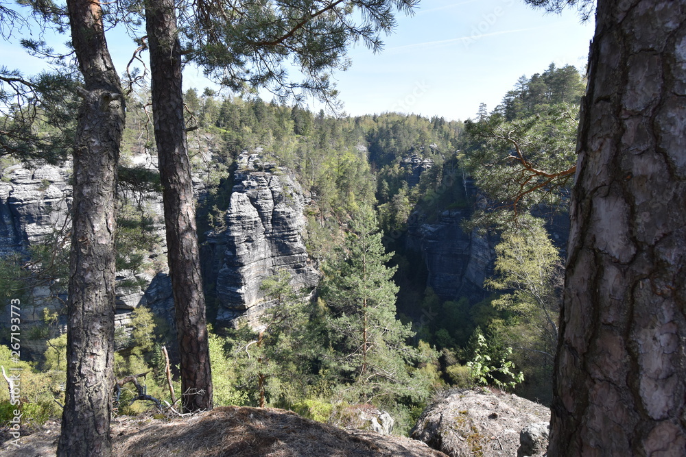 Big rocks with a tree in front at the hiking trail at Elbe Sandstone Mountains in beautiful Saxon Switzerland near Bohemian Switzerland in Germany Big rocks with a tree in front at the hiking trail at Elbe Sandstone Mountains in beautiful Saxon Switzerland near Bohemian Switzerland in Germany