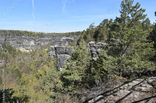 Panorama of Elbe Sandstone Mountains in beautiful Saxon Switzerland near Bohemian Switzerland in Germany photo