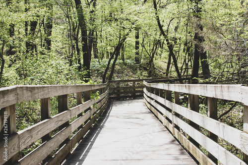 A hiking trail