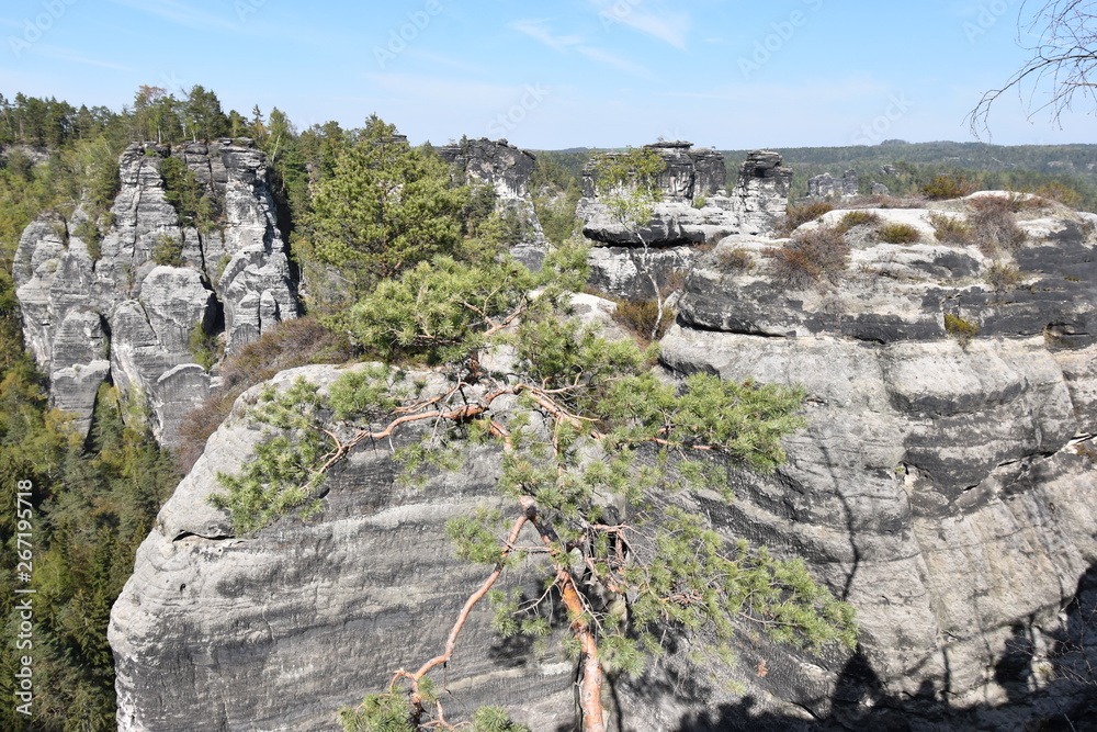 Panorama of Elbe Sandstone Mountains in beautiful Saxon Switzerland near Bohemian Switzerland in Germany