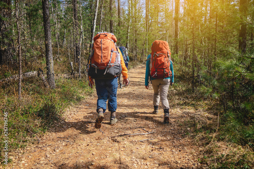 Couple of hikers in the forest walking with backpacks in the sunset from the back. Adventure travel, and tourism