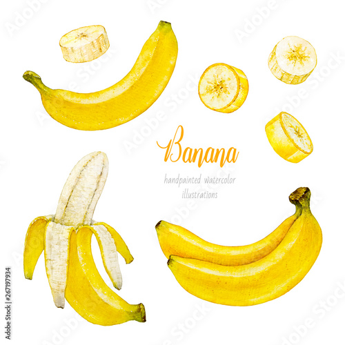 Banana. Banana slice. Bunch of bananas. Watercolor botanical illustration. Watercolor fruit