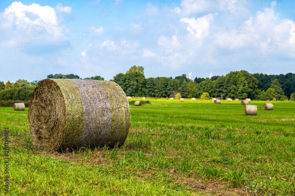 ein Feld mit Strohballen, bei blauem Himmel ein Feld mit Strohballen, bei blauem Himmel