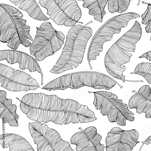 Seamless pattern of exotic, white banana leaves with a black outlines isolated on a transparent background. Decorative image with tropical foliage. Vector illustration.