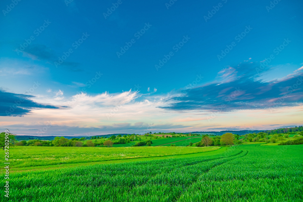 Green fields on a sunny summer day with a blue sky and a few white clouds