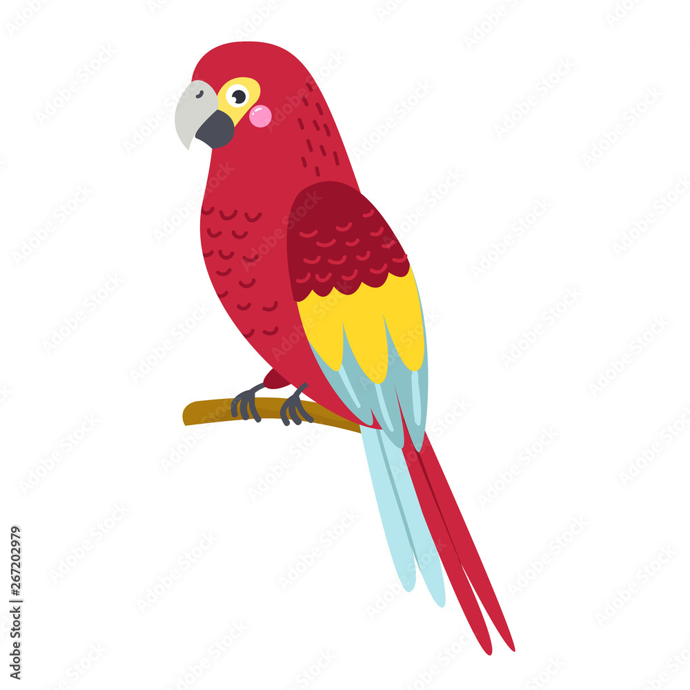 Vector cute African animal. Parrot. Funny character for kids.