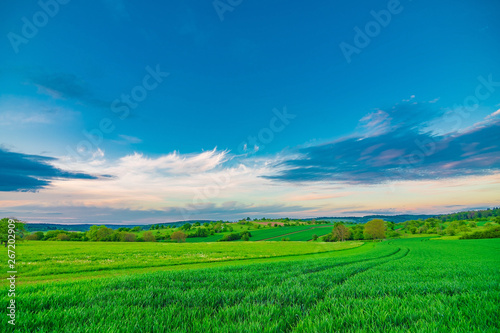 Green fields on a sunny summer day with a blue sky and a few white clouds