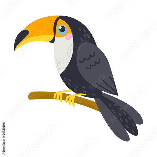 Vector cute African animal. Toucan. Funny character for kids.