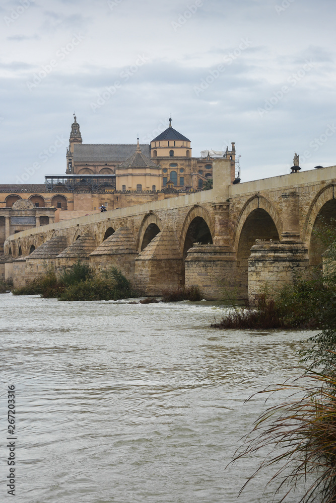Cordoba in November. Roman Bridge and Mezquita.