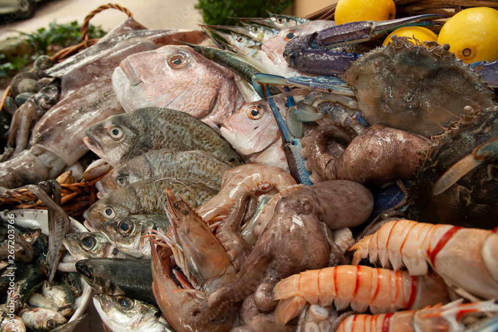 Australian Seafood Varieties