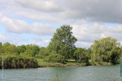 wooded riverside with birch