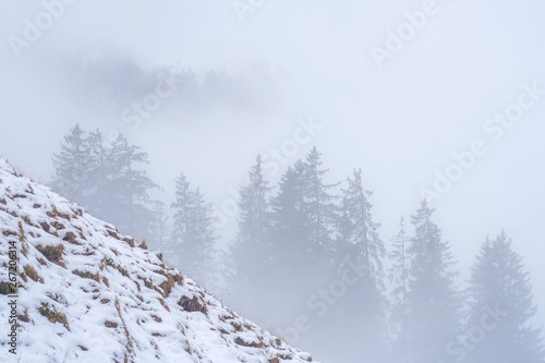 beautiful winter view the mountains of Switzerland. Misty forest