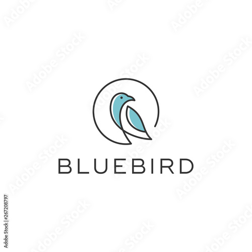 blue bird line vector logo design