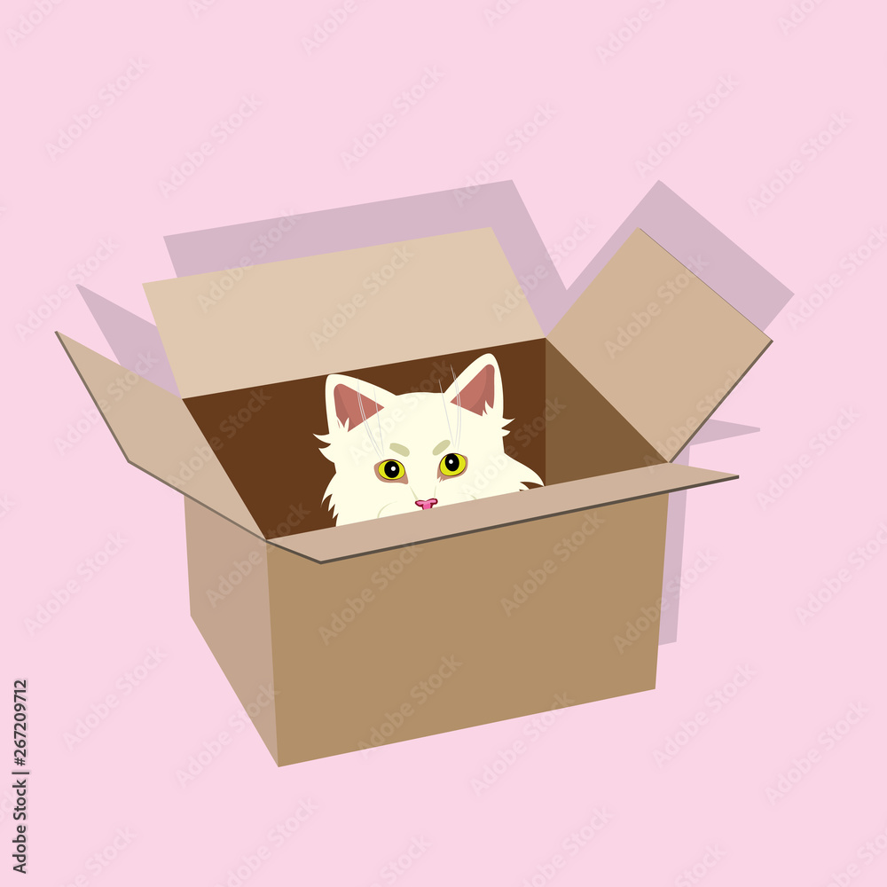 vector icon white cat in a box